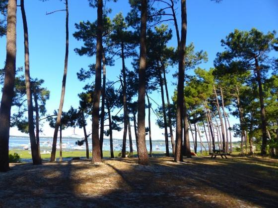 Maison Oceane Proche Plage Villa Ares Bagian luar foto